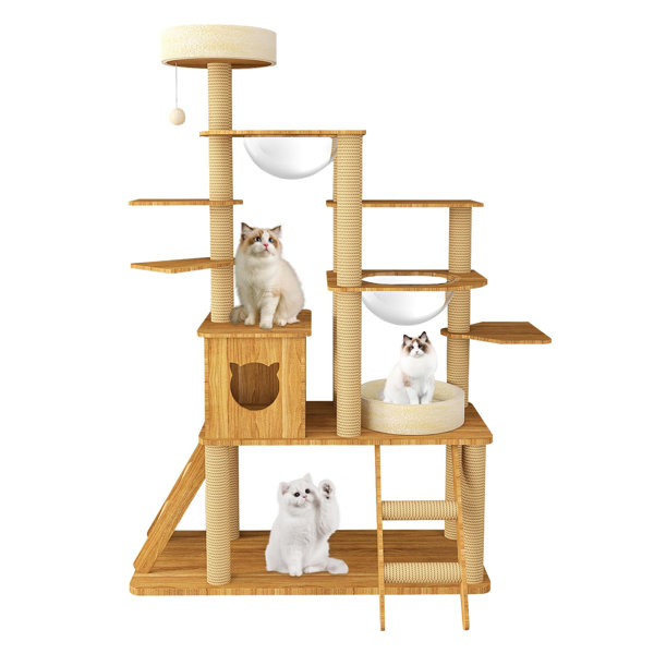 NURTOR 59.5" Tall Cat Tree with Scratching Post,Wooden Cat Tower for Indoor Cats Wayfair